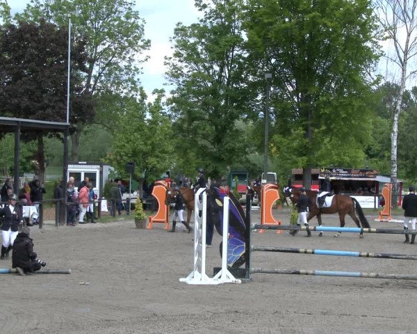 Reitturnier Ahlen 2019