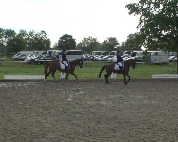 Reitturnier Ahlen 2019