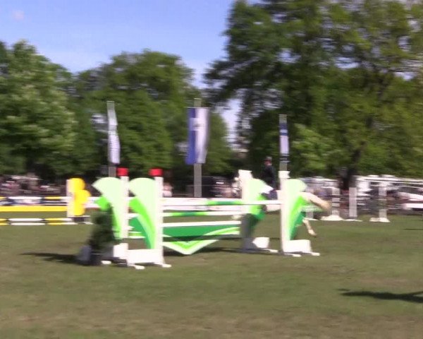 Reitturnier Meppen 2019