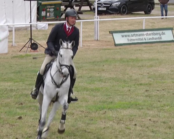 Reitturnier Schwanebeck 2019