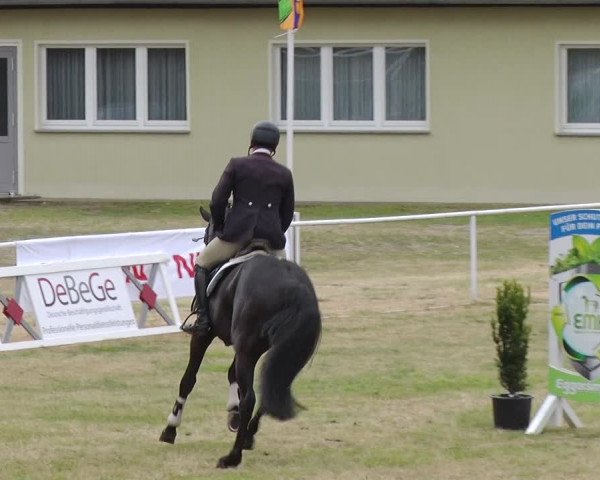 Reitturnier Schwanebeck 2019