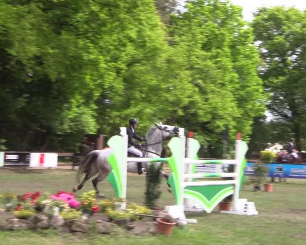 Reitturnier Meppen 2019