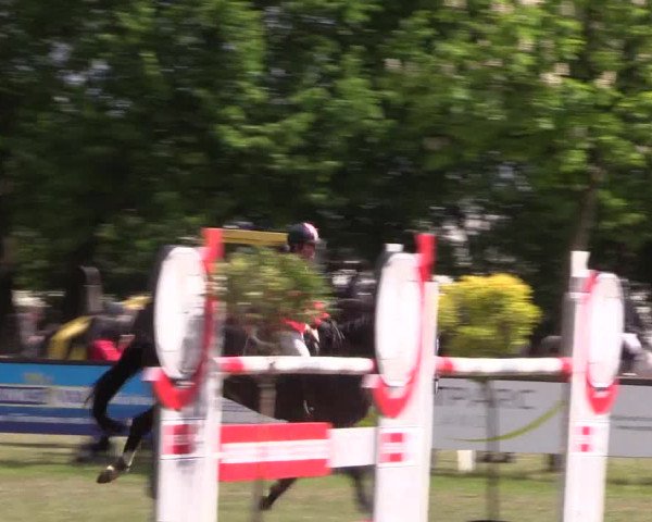 Reitturnier Meppen 2019