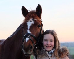 dressage horse Rapunzel (Pony without race description, 2007)