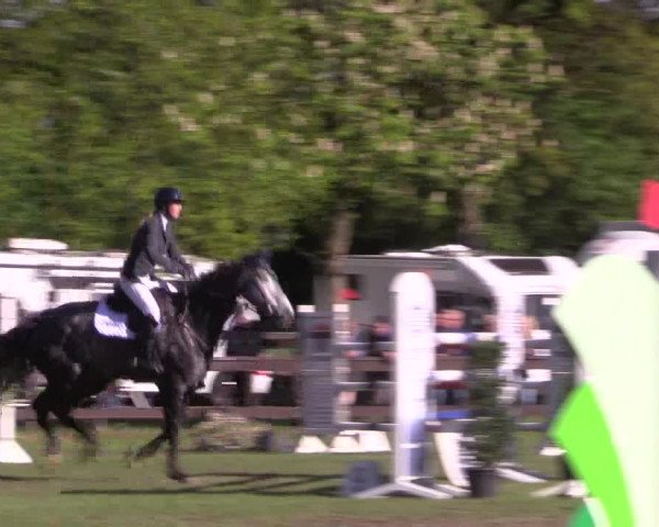 Reitturnier Meppen 2019