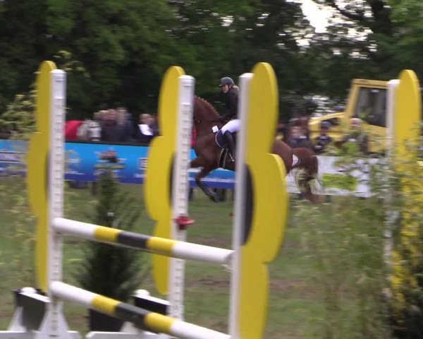 Reitturnier Meppen 2019
