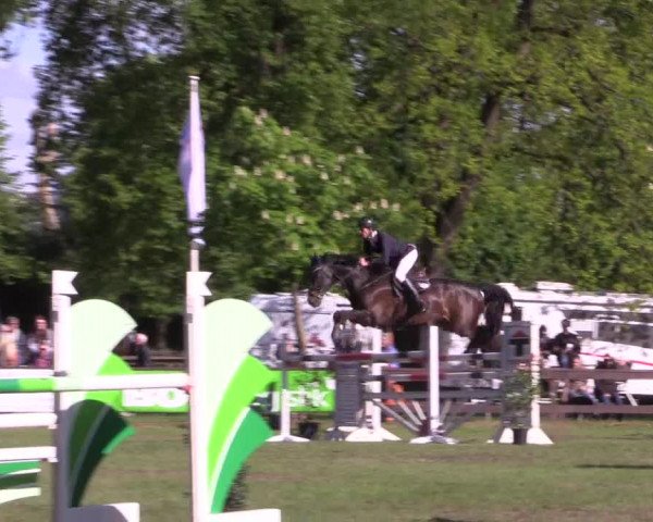 Reitturnier Meppen 2019