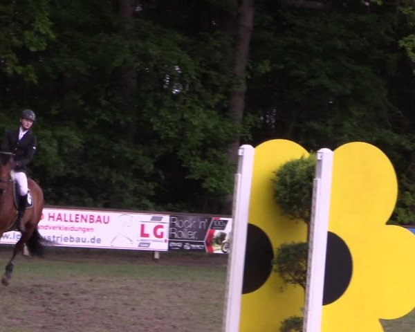 Reitturnier Meppen 2019