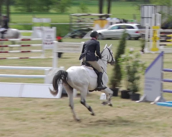 Reitturnier Schwanebeck 2019