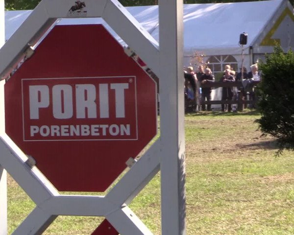 Reitturnier Meppen 2019