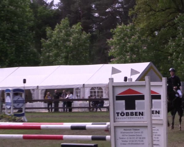 Reitturnier Meppen 2019