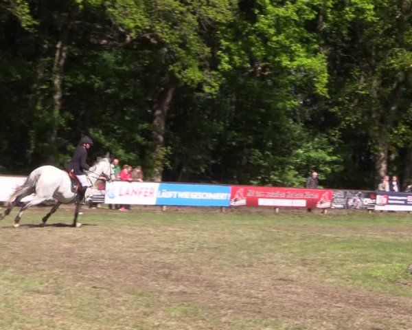 Reitturnier Meppen 2019