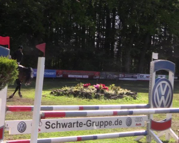 Reitturnier Meppen 2019