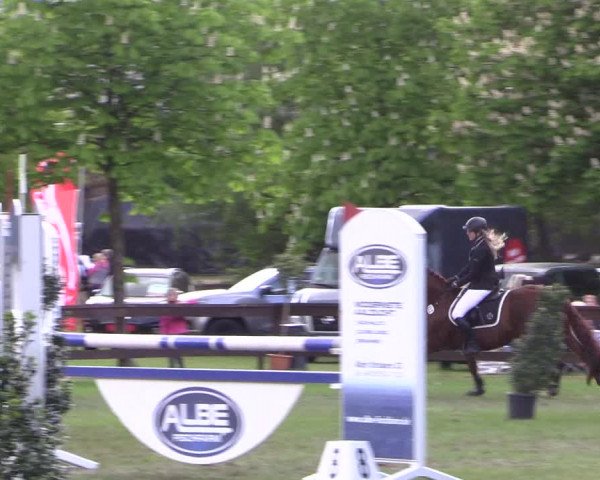 Reitturnier Meppen 2019