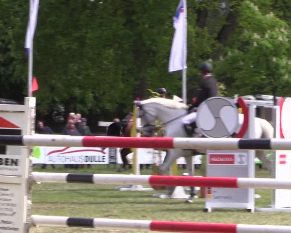 Reitturnier Meppen 2019