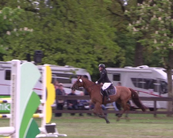 Reitturnier Meppen 2019