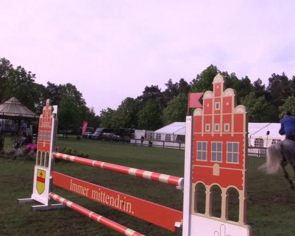 Reitturnier Meppen 2019