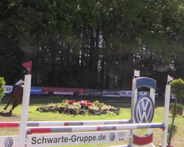 Reitturnier Meppen 2019