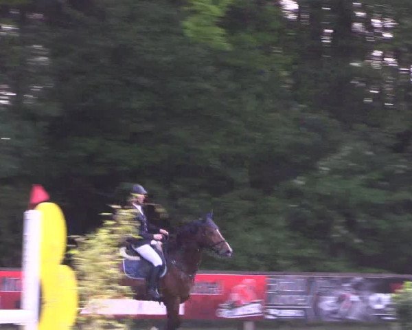 Reitturnier Meppen 2019
