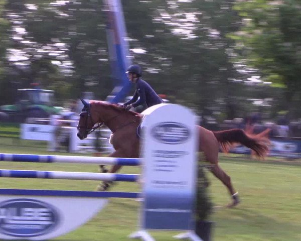 Reitturnier Meppen 2019