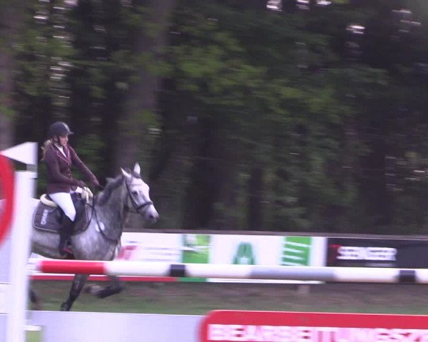 Reitturnier Meppen 2019