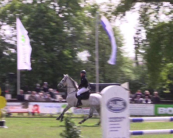 Reitturnier Meppen 2019