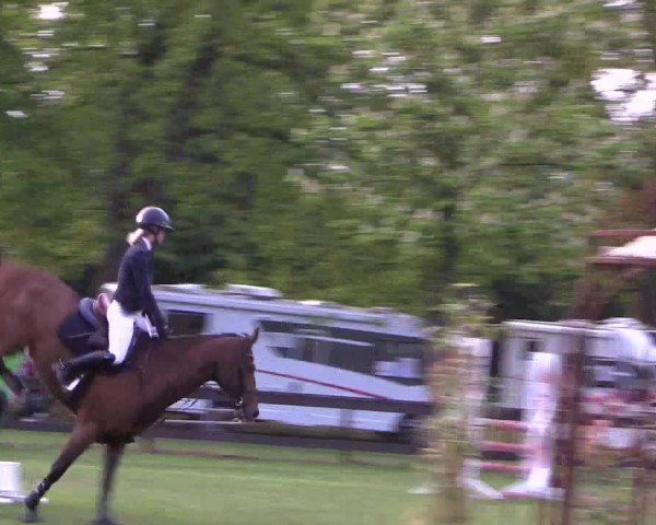 Reitturnier Meppen 2019