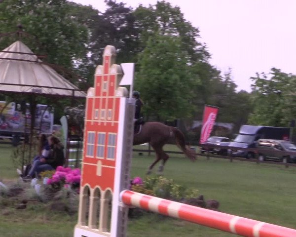 Reitturnier Meppen 2019