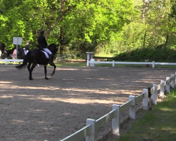 Reitturnier Meppen 2019