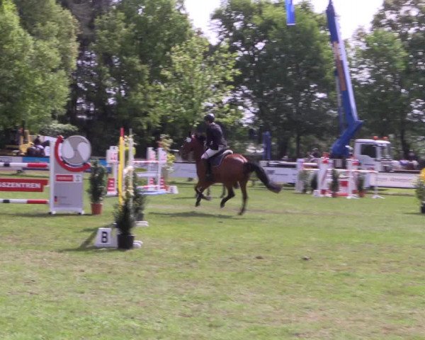 Reitturnier Meppen 2019