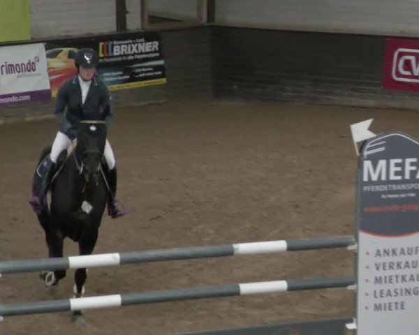Reitturnier Heilbronn 2021