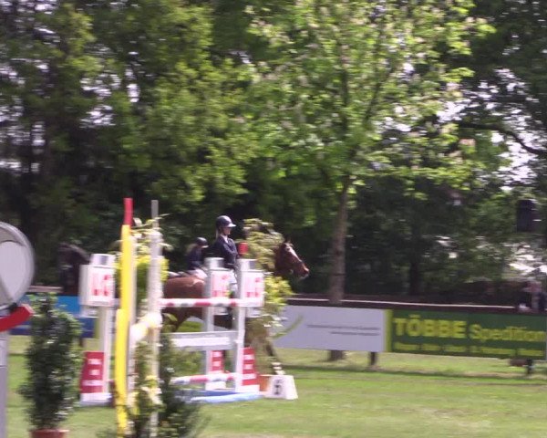 Reitturnier Meppen 2019
