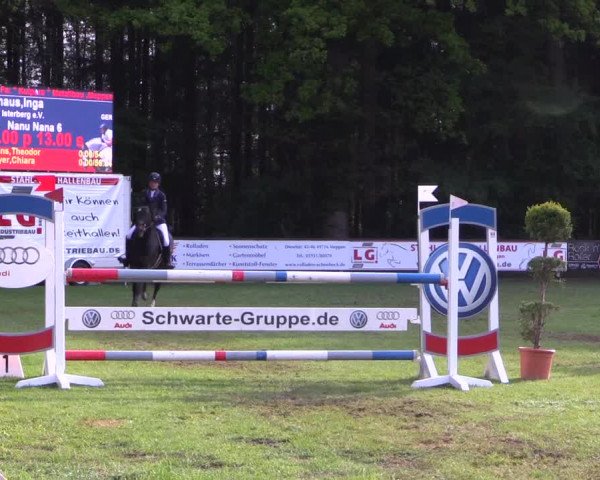 Reitturnier Meppen 2019