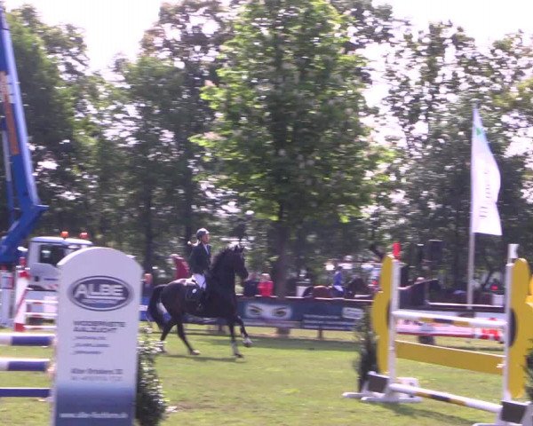 Reitturnier Meppen 2019