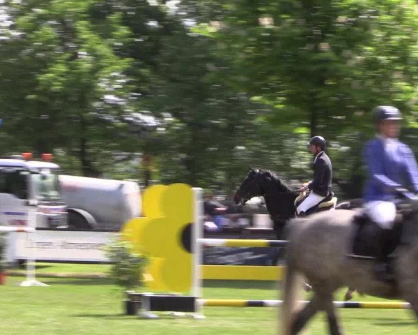 Reitturnier Meppen 2019