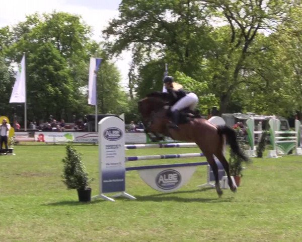 Reitturnier Meppen 2019