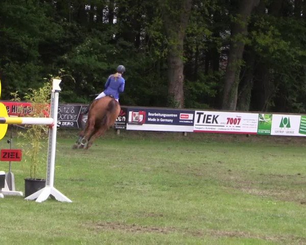 Reitturnier Meppen 2019