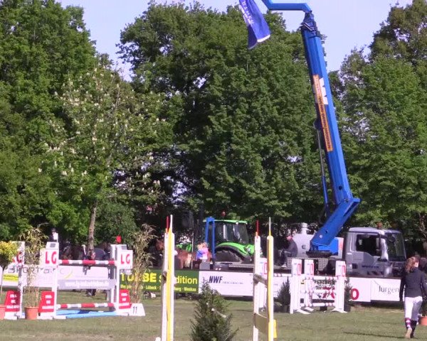 Reitturnier Meppen 2019