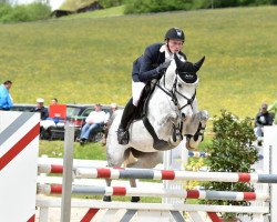 Springpferd Gina Lxxvi (Deutsches Sportpferd, 2008, von Cristallo I)