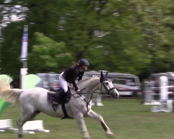 Reitturnier Meppen 2019