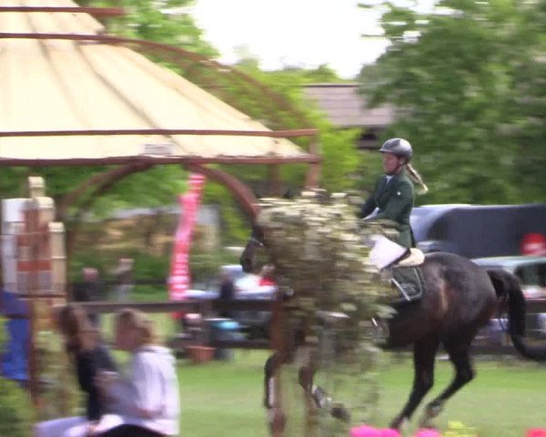 Reitturnier Meppen 2019