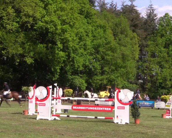 Reitturnier Meppen 2019