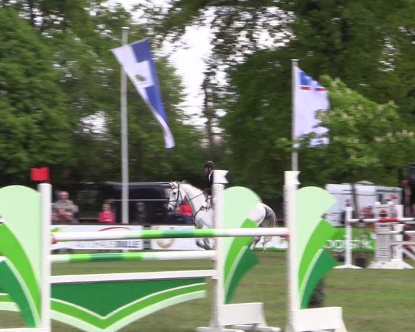 Reitturnier Meppen 2019