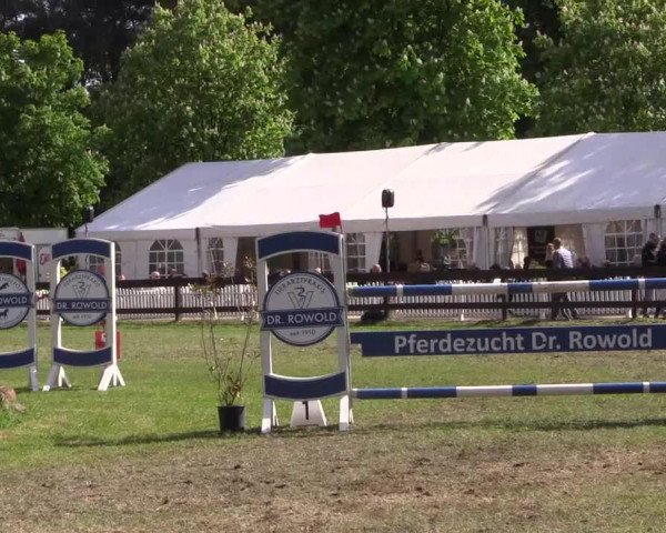 Reitturnier Meppen 2019