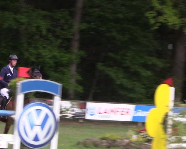 Reitturnier Meppen 2019