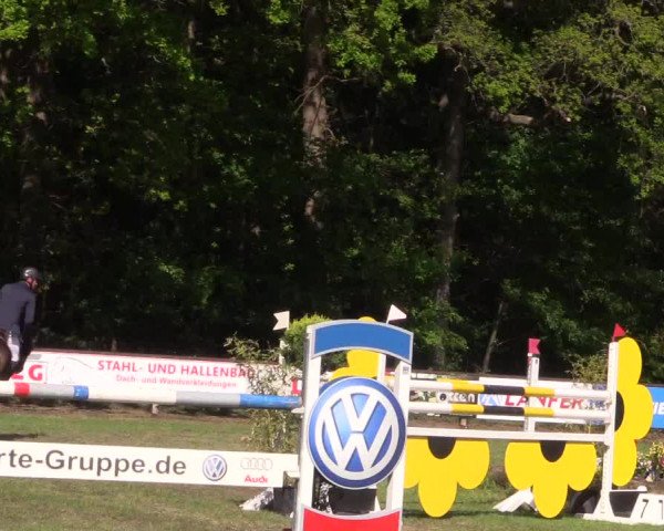 Reitturnier Meppen 2019