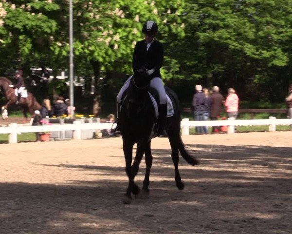 Reitturnier Meppen 2019