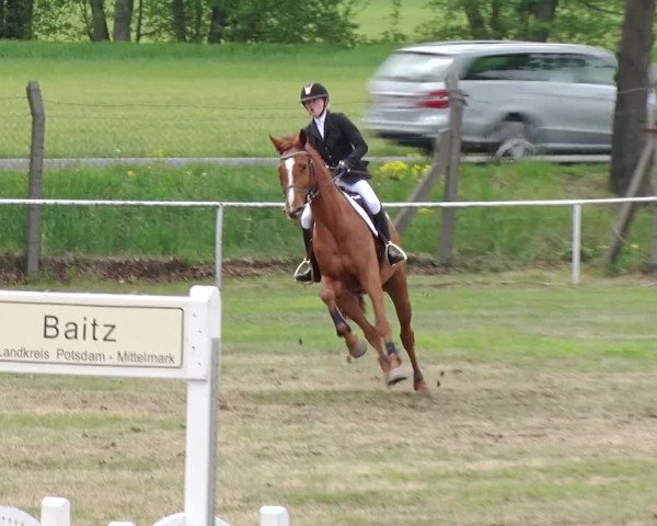 Reitturnier Schwanebeck 2019
