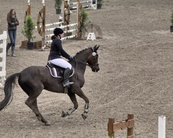 Reitturnier Eppelheim 2019