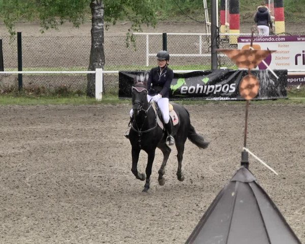 Reitturnier Eppelheim 2019
